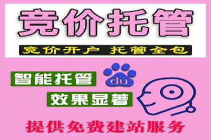 SEM主管案例分析：提升转化率实战