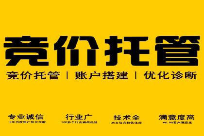 案例分享：SEM运营托管助力电商销量增长